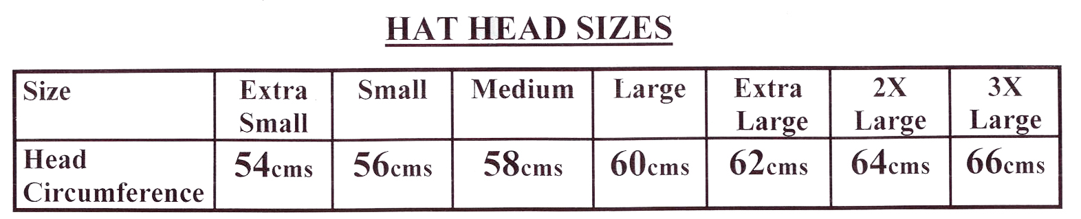 Genuine Leather Baseball Cap - Black - Blue Sky Fashions & Lingerie