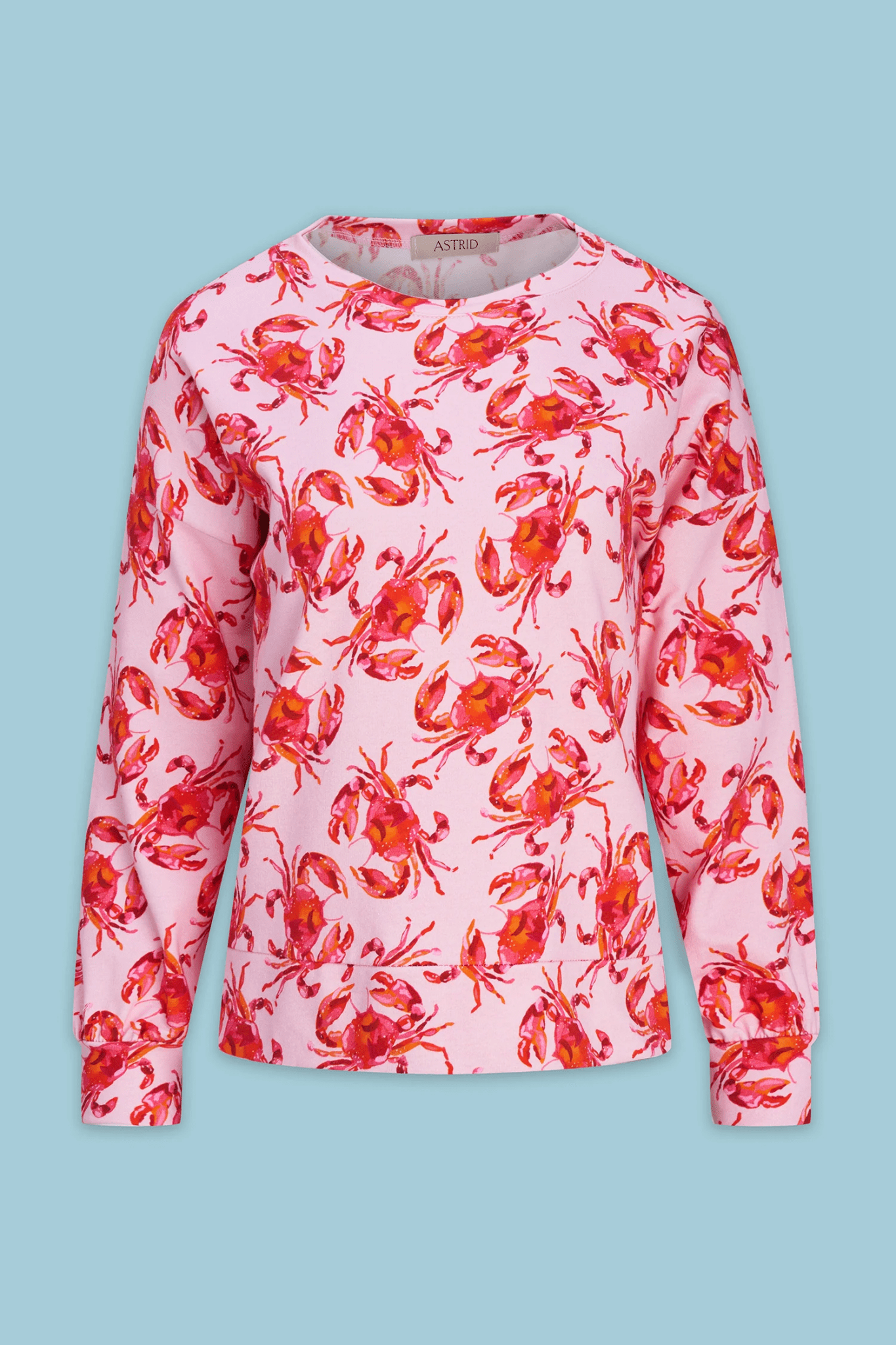 Layover Sweatshirt - Blue Sky Fashions & Lingerie