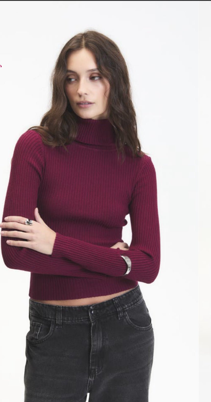 Mylo turtleneck - wine - Blue Sky Fashions & Lingerie