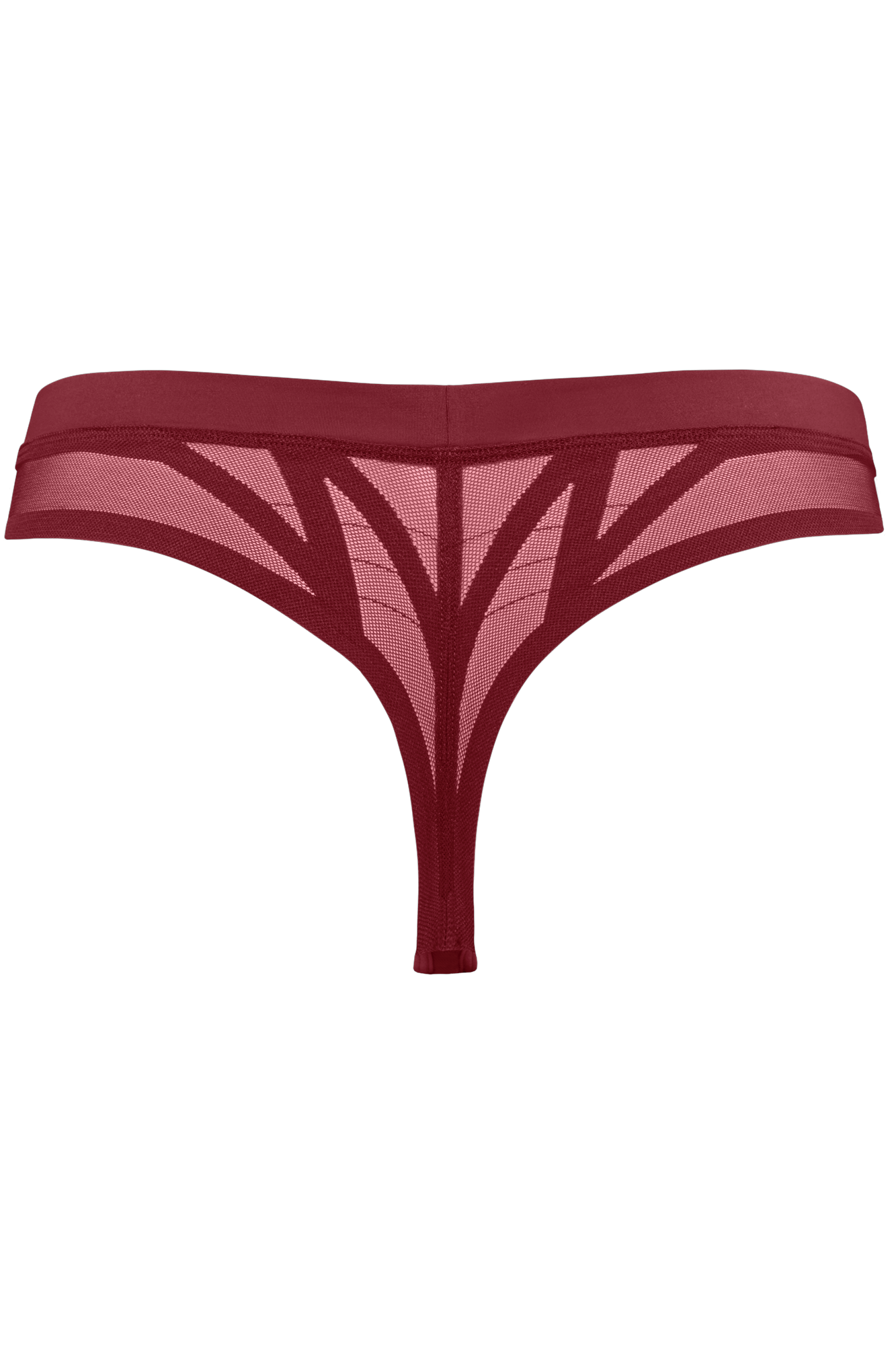 the illusionist butterfly thong | cabernet red - Blue Sky Clothing & Lingerie